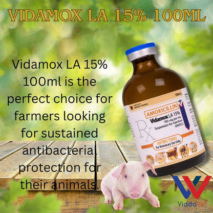 Vidamox LA 100ml Para sa May Sipon na Manok