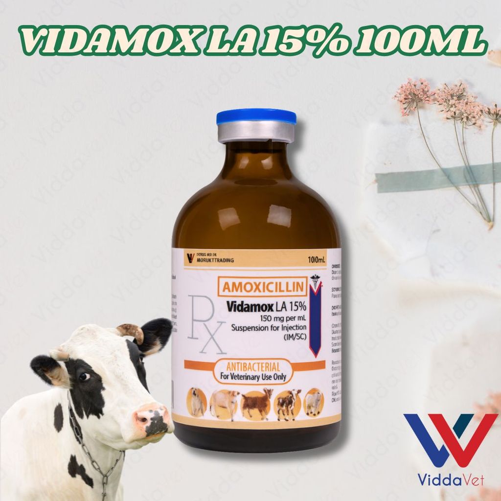 Vidamox LA 100ml Para sa May Sipon na Manok