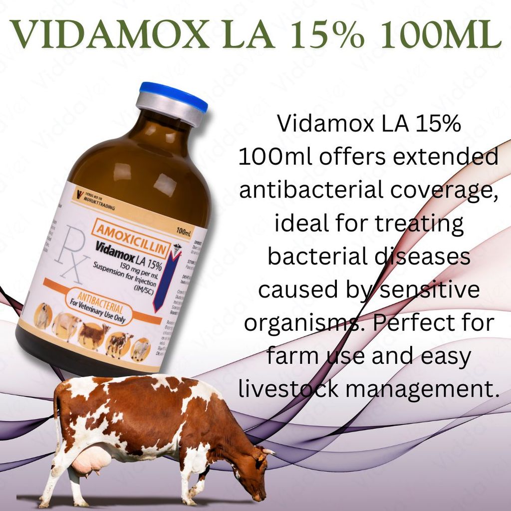 Vidamox LA 100ml Para sa May Sipon na Manok
