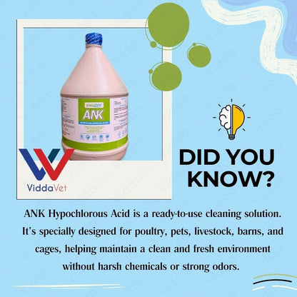 ANK Disinfectant for Daily Cleaning with Hand Sprayer