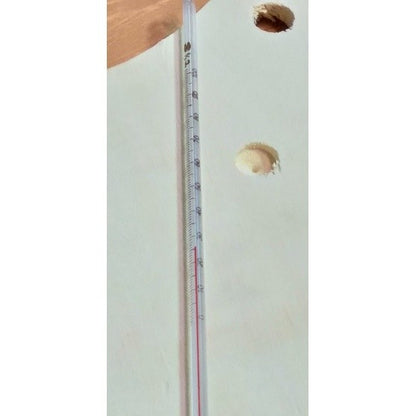 Glass Thermometer
