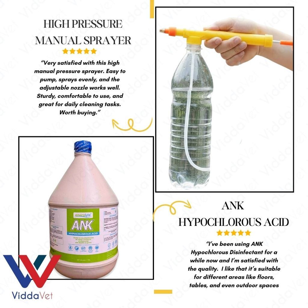 ANK Disinfectant for Daily Cleaning with Hand Sprayer