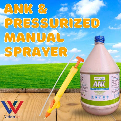 ANK Disinfectant for Daily Cleaning with Hand Sprayer