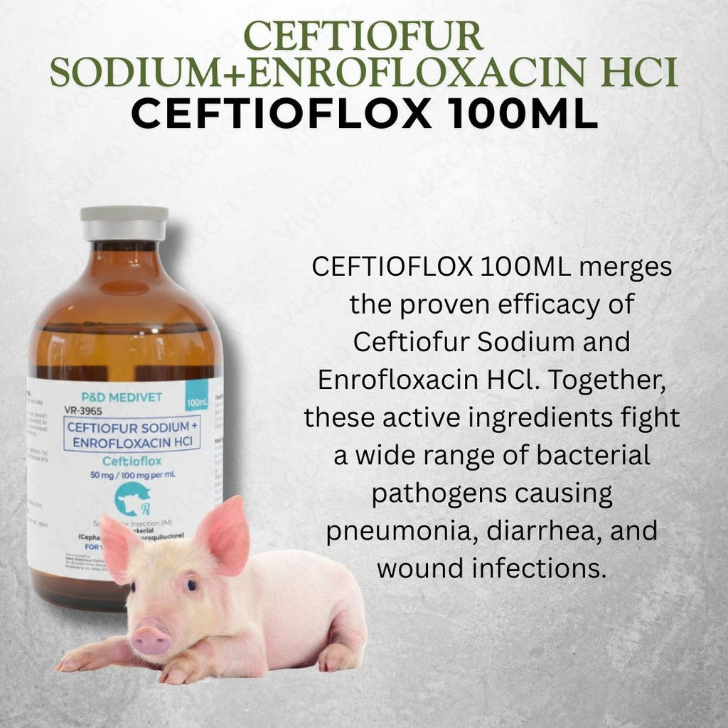 Ceftioflox 100ml