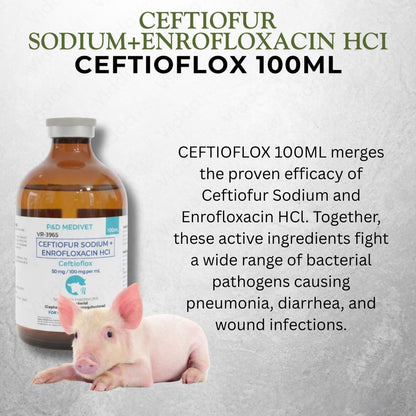 Ceftioflox 100ml
