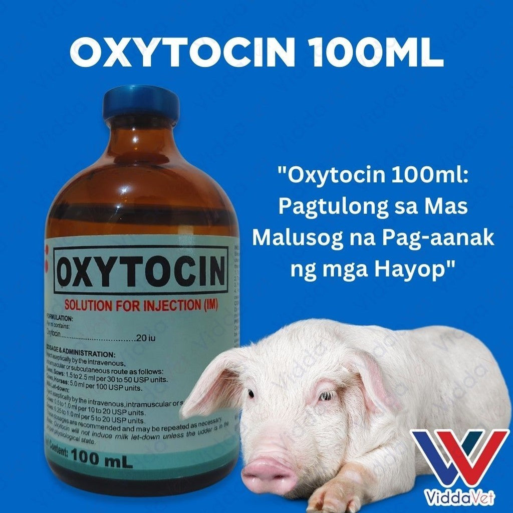 Oxytocin 100ml Kailangan ng Iyong mga Hayop para sa Maayos na Panganganak