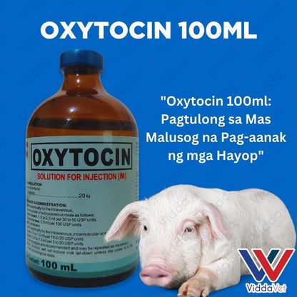 Oxytocin 100ml Kailangan ng Iyong mga Hayop para sa Maayos na Panganganak