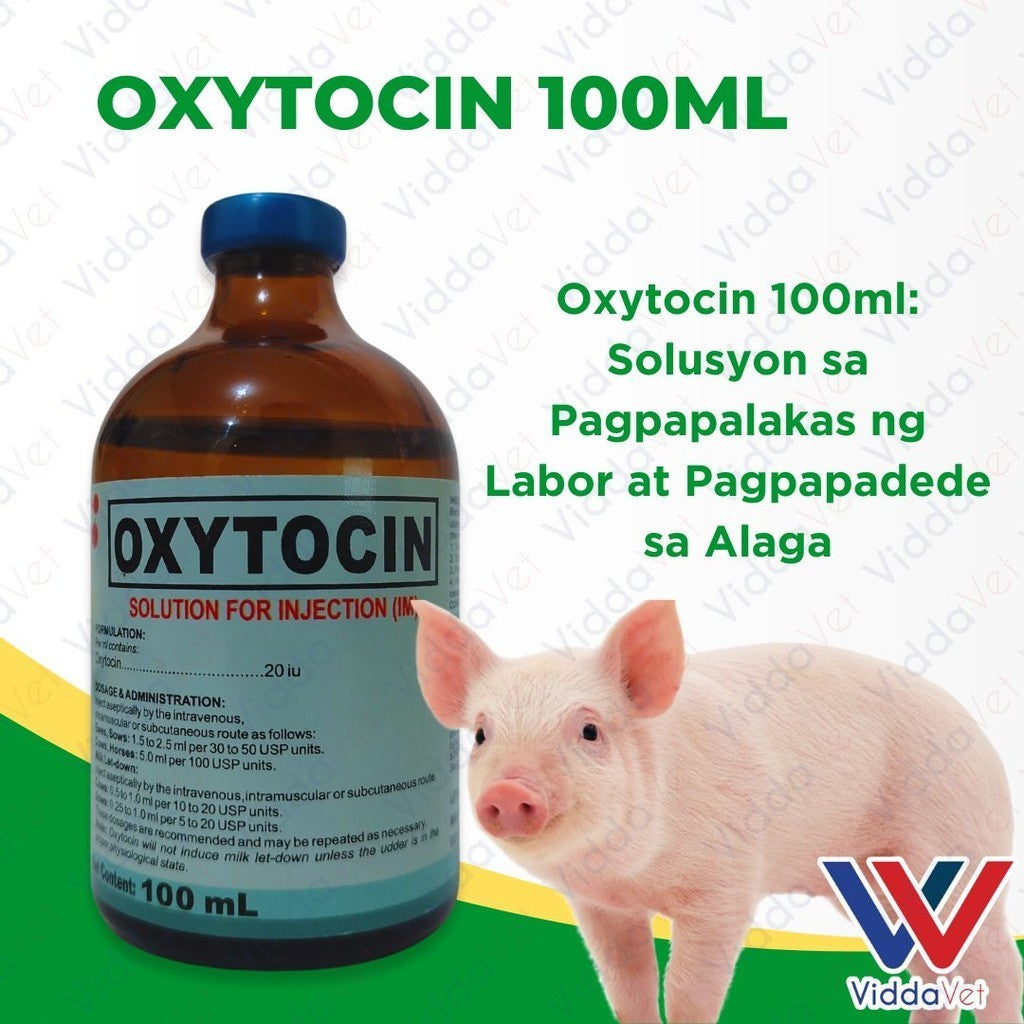 Oxytocin 100ml Kailangan ng Iyong mga Hayop para sa Maayos na Panganganak