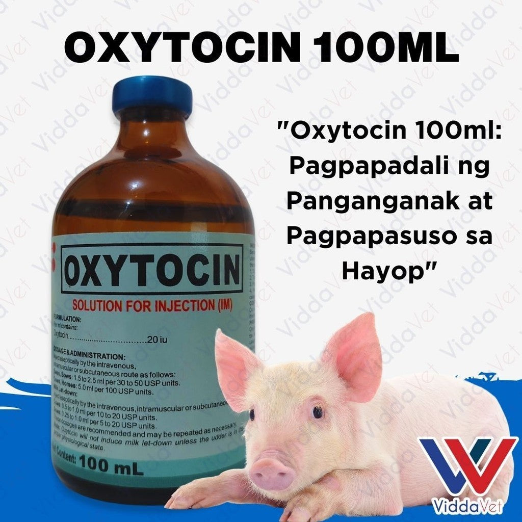 Oxytocin 100ml Kailangan ng Iyong mga Hayop para sa Maayos na Panganganak
