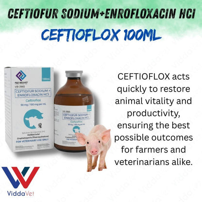 Ceftioflox 100ml