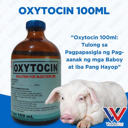 Oxytocin 100ml Kailangan ng Iyong mga Hayop para sa Maayos na Panganganak