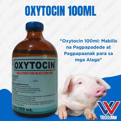 Oxytocin 100ml Kailangan ng Iyong mga Hayop para sa Maayos na Panganganak