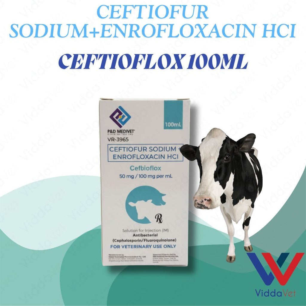 Ceftioflox 100ml
