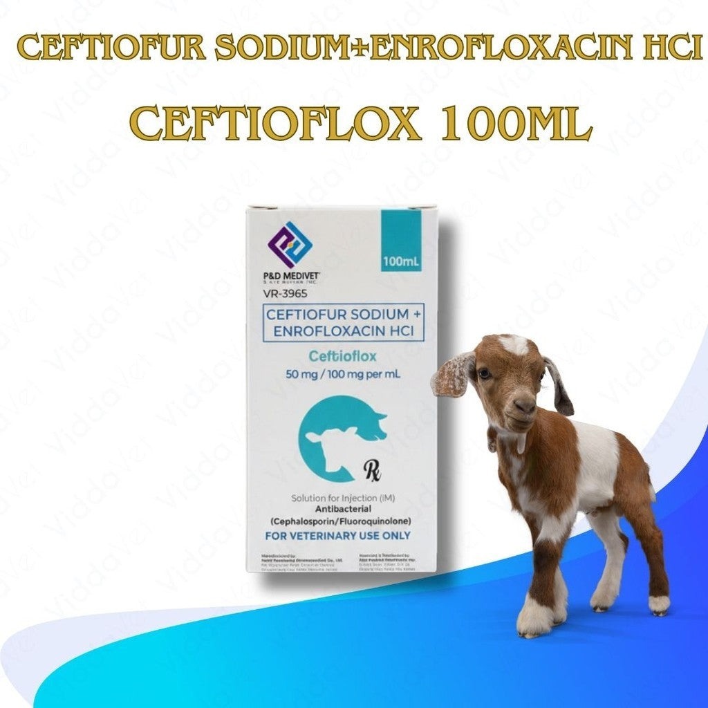 Ceftioflox 100ml