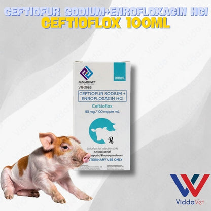 Ceftioflox 100ml