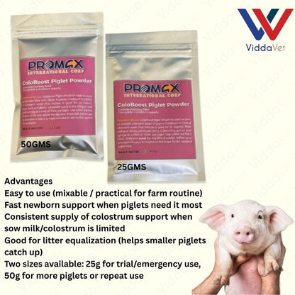 Newborn Swine Supplement Coloboost Piglet Powder 25g 50g Vitality Formula