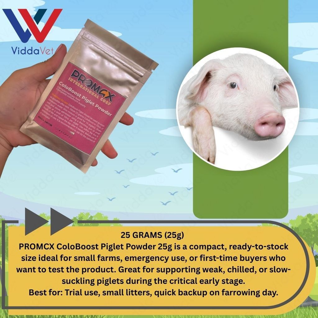 Newborn Swine Supplement Coloboost Piglet Powder 25g 50g Vitality Formula