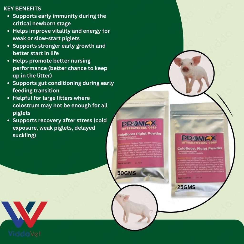 Newborn Swine Supplement Coloboost Piglet Powder 25g 50g Vitality Formula