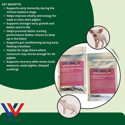 Newborn Swine Supplement Coloboost Piglet Powder 25g 50g Vitality Formula