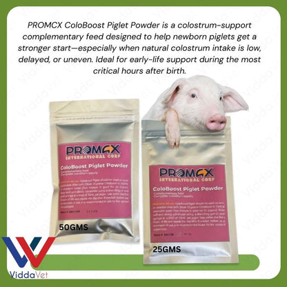 Newborn Swine Supplement Coloboost Piglet Powder 25g 50g Vitality Formula