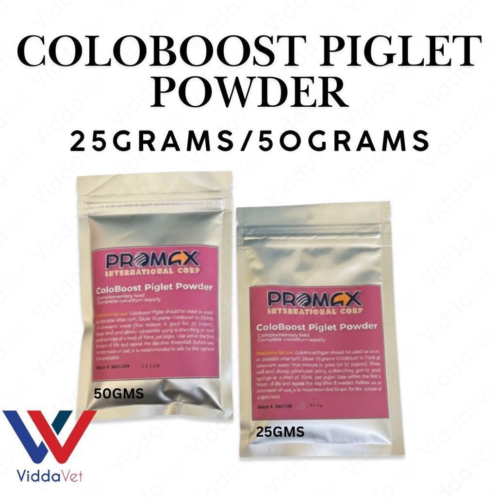 Newborn Swine Supplement Coloboost Piglet Powder 25g 50g Vitality Formula