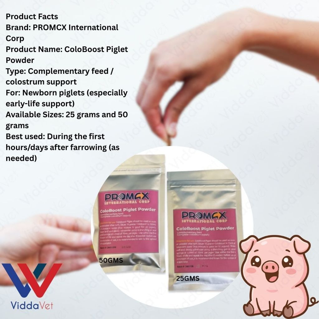 Newborn Swine Supplement Coloboost Piglet Powder 25g 50g Vitality Formula