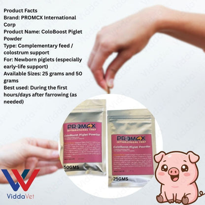 Newborn Swine Supplement Coloboost Piglet Powder 25g 50g Vitality Formula